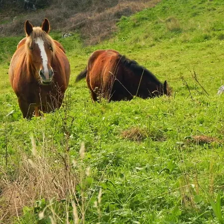 Rurales Vallanu Rodeados De Naturaleza En Y A 3 Kilometros De Playas Llanes