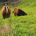 Rurales Vallanu Rodeados De Naturaleza En Y A 3 Kilometros De Playas לאנס