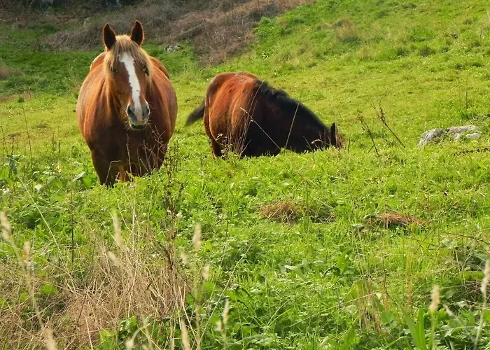 Rurales Vallanu Rodeados De Naturaleza En Y A 3 Kilometros De Playas Llanes